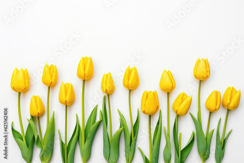 Yellow Tulips Lying At Distance From Each Other On White Background, Top View. Generative AI