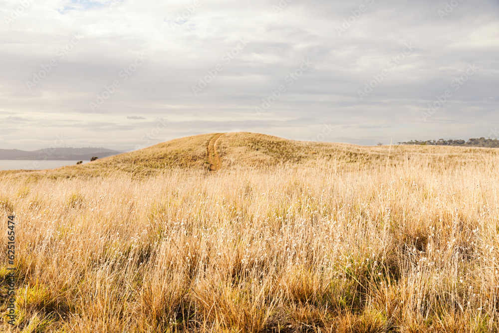 Cloudy sky over low grassland in public coastal nature reserve Cloudy sky over low grassland in public coastal nature reserve