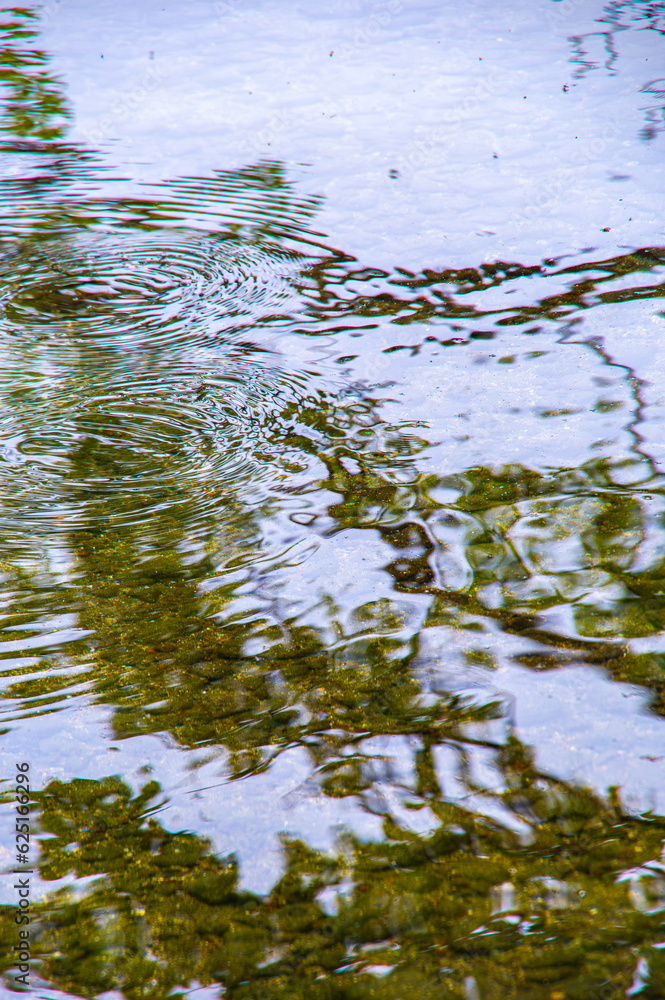 Obraz premium 光を反射して揺らめく水面。