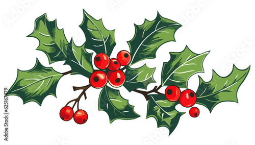 Christmas holly berry with leaves. Christmas plants. Christmas decorations.