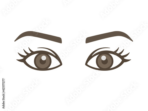 人間の目と眉毛のイラスト photo