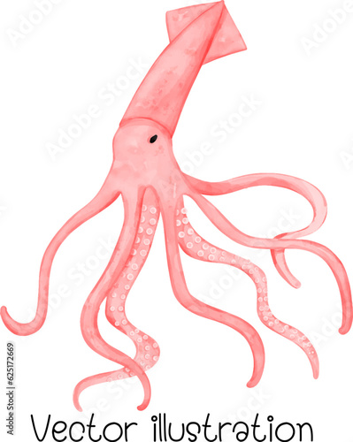 Banana squid vector illustration, watercolor Seafood