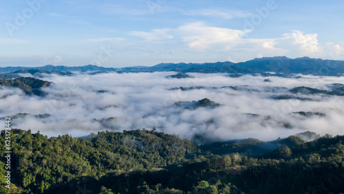 Panorama of Borneo jungle with morning fog