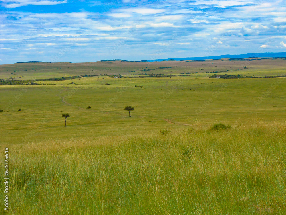 Maasai Mara Game Reserve in foreground with river by trees marking border with Serengeti National Park in Tanzania 