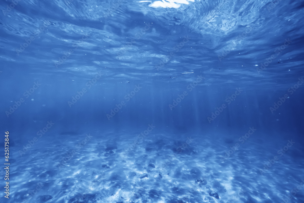 underwater photo blue background panorama ocean surface and bottom of the sea underwater photo blue background panorama ocean surface and bottom of the sea