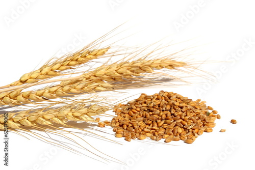 Grains and ears of barley lie on a white background.	