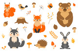 Vector illustration with cute forest animals in cartoon style. Squirrel, fox, wolf, bear, hedgehog, butterfly, bird. Twigs, cones, acorn, leaves, grass. Autumn in the forest.