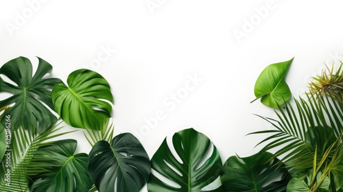 Tropical leaves in white background template  AI generated Image