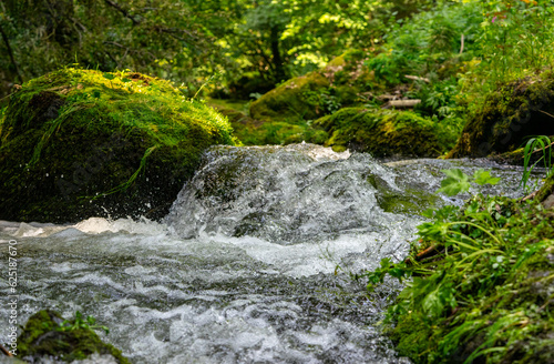 river with waterfall in the vogtland forest