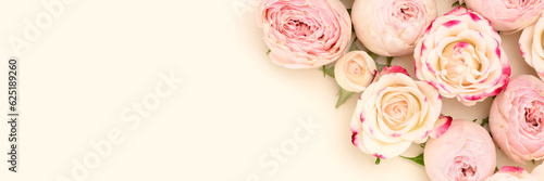 Banner with pink rose flowers texture on a beige background. Floral concept with copy space.