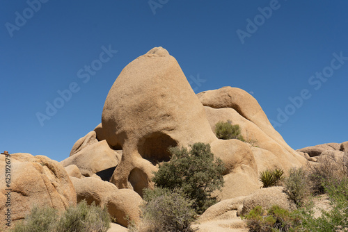 skull rock formation Joshua Tree National Park