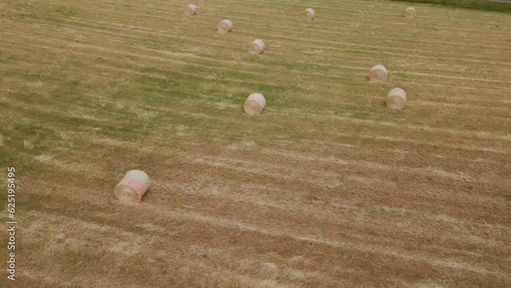 Vertical video, video for the phone, hay in the field near the road, hay harvesting, agriculture Vertical video, video for the phone, hay in the field near the road, hay harvesting, agriculture