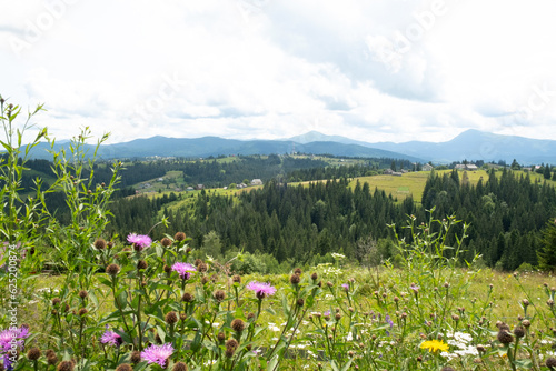 Panoramic picture of landscape in Carpathians mountines, Ukraine.