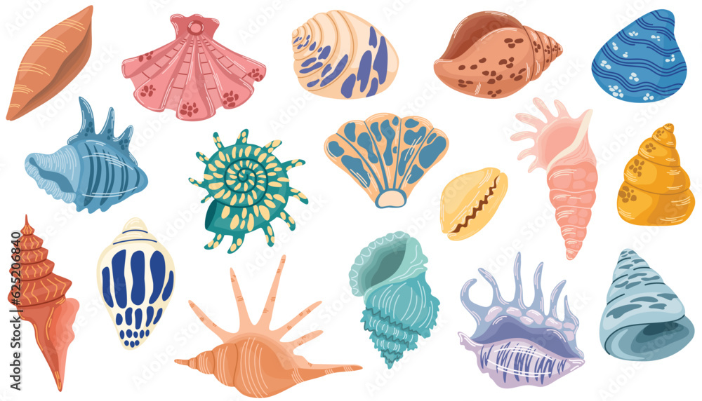 Seashell set. Various mollusk seashells different forms, starfish, coral. Underwater flora, sea plants. Summer vacation collection, tropical beach shells. Vector illustration. Seashell set. Various mollusk seashells different forms, starfish, coral. Underwater flora, sea plants. Summer vacation collection, tropical beach shells. Vector illustration.
