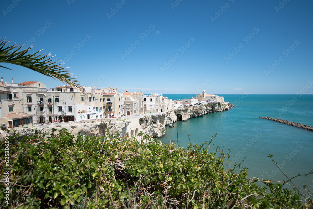 Vieste In Puglia. Vacations, history and beauty.