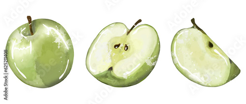Juicy shiny green apple on a white background. Freehand drawing. A whole green apple, half an apple and an apple slice on a white background. Fruit for designs, patterns, labels.