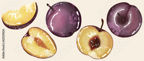 Ripe juicy plum on a white background. Freehand drawing. Whole plum, half plum, plum slice isolated on white background. Fruit element for designs, patterns, labels.