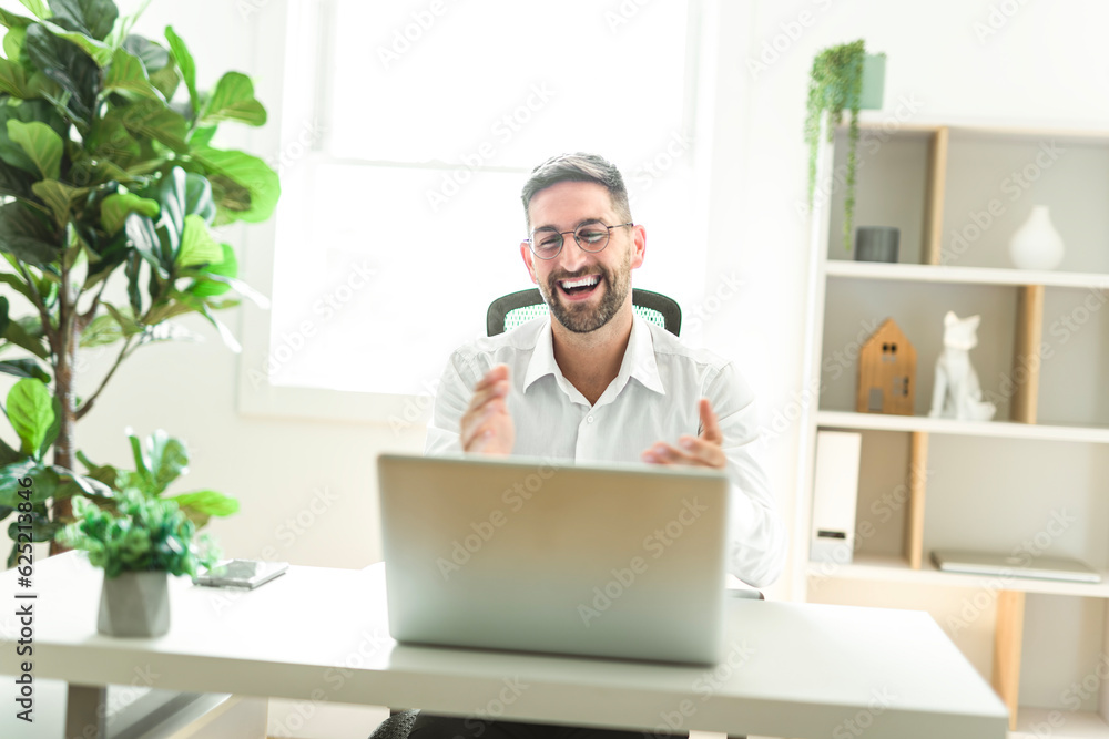 Mature business man using laptop computer in office.