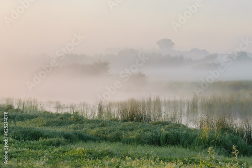 misty morning in the field © Александр Арендарь