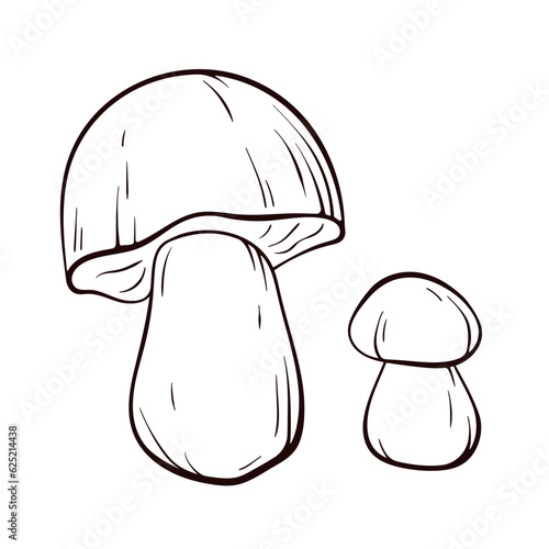 Boletus mushrooms in line art style. Big white mushroom for printing, cookbook, logo, icon. Vector illustration isolated on a white background.