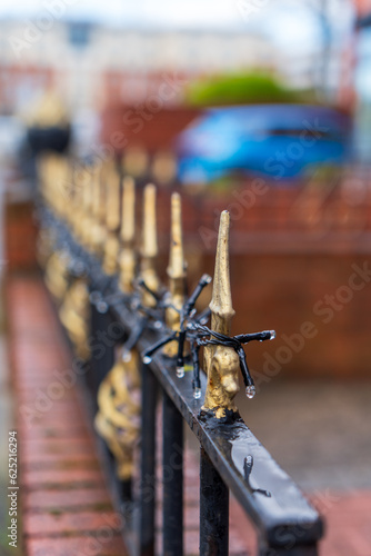 Photography Closeup of wrought iron fence with gold tips after rain in front of a house on a