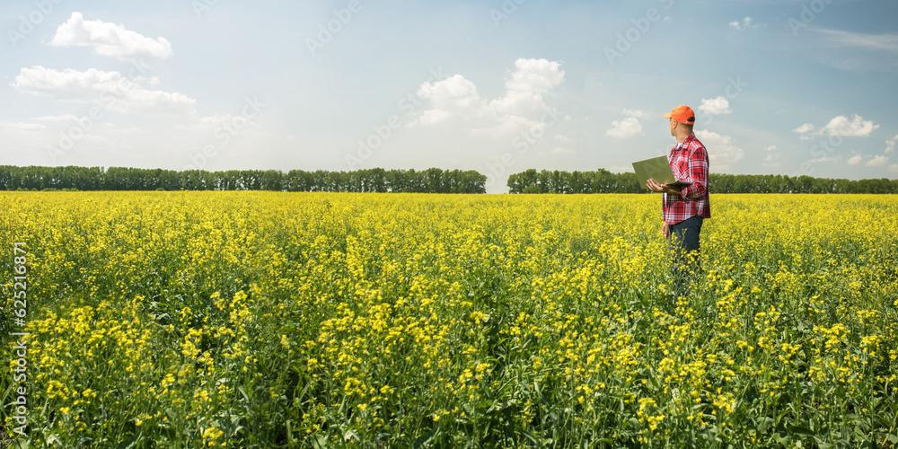 Farmer man with laptop in rapeseed field. Banner with copy space.