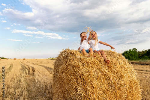 Leinwand Poster Two cute adorable caucasian siblings enjoy having fun sitting on top over golden hay bale on wheat harvested field near farm