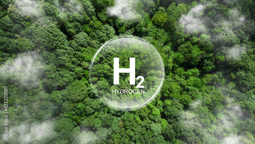 Картината върху платно words H2 hydrogen in bubbles on a forest background