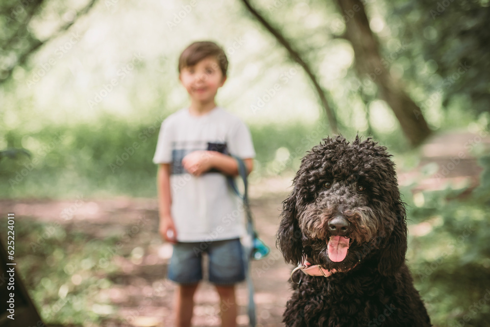 boy with a goldendoodle dog in the park boy with a goldendoodle dog in the park
