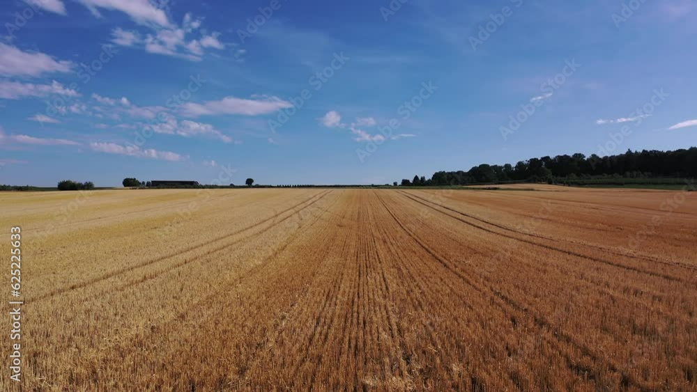 Slow flight over a wheat field or farmland in southern germany under a blue sky in summer Slow flight over a wheat field or farmland in southern germany under a blue sky in summer