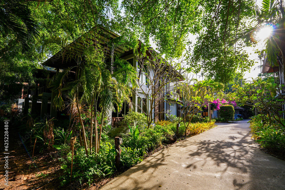 Pathway in the jungle of a luxury resort on Railay West Beach in the Railay Peninsula in the Province of Krabi, Thailand, Southeast Asia Pathway in the jungle of a luxury resort on Railay West Beach in the Railay Peninsula in the Province of Krabi, Thailand, Southeast Asia