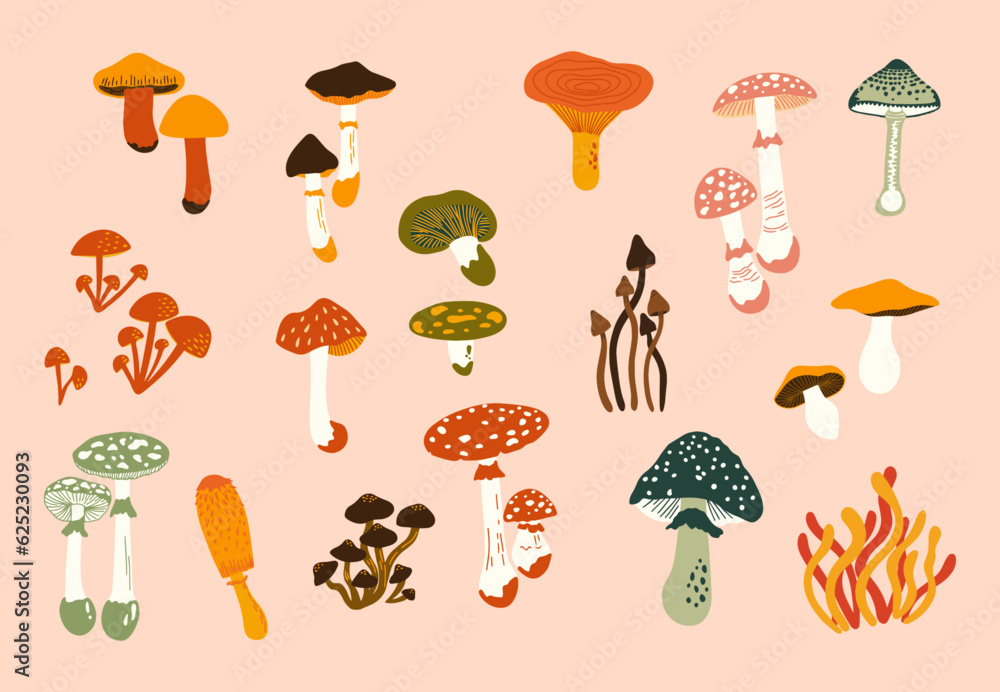 Set of cute mushrooms vector illustrations. Collection of different