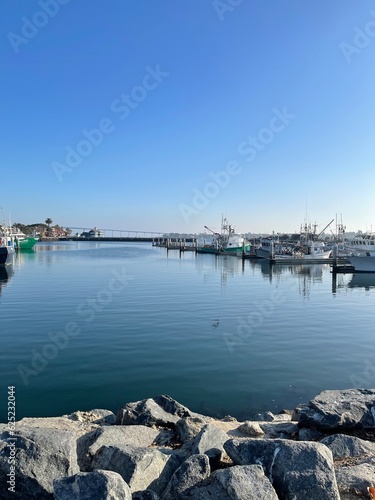 marina at during day