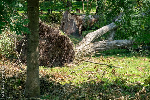 Storm damages in the park . Fallen trees and closed roads and tracks . Sturmschaden im Park . Gesperrte Straßen und Wege