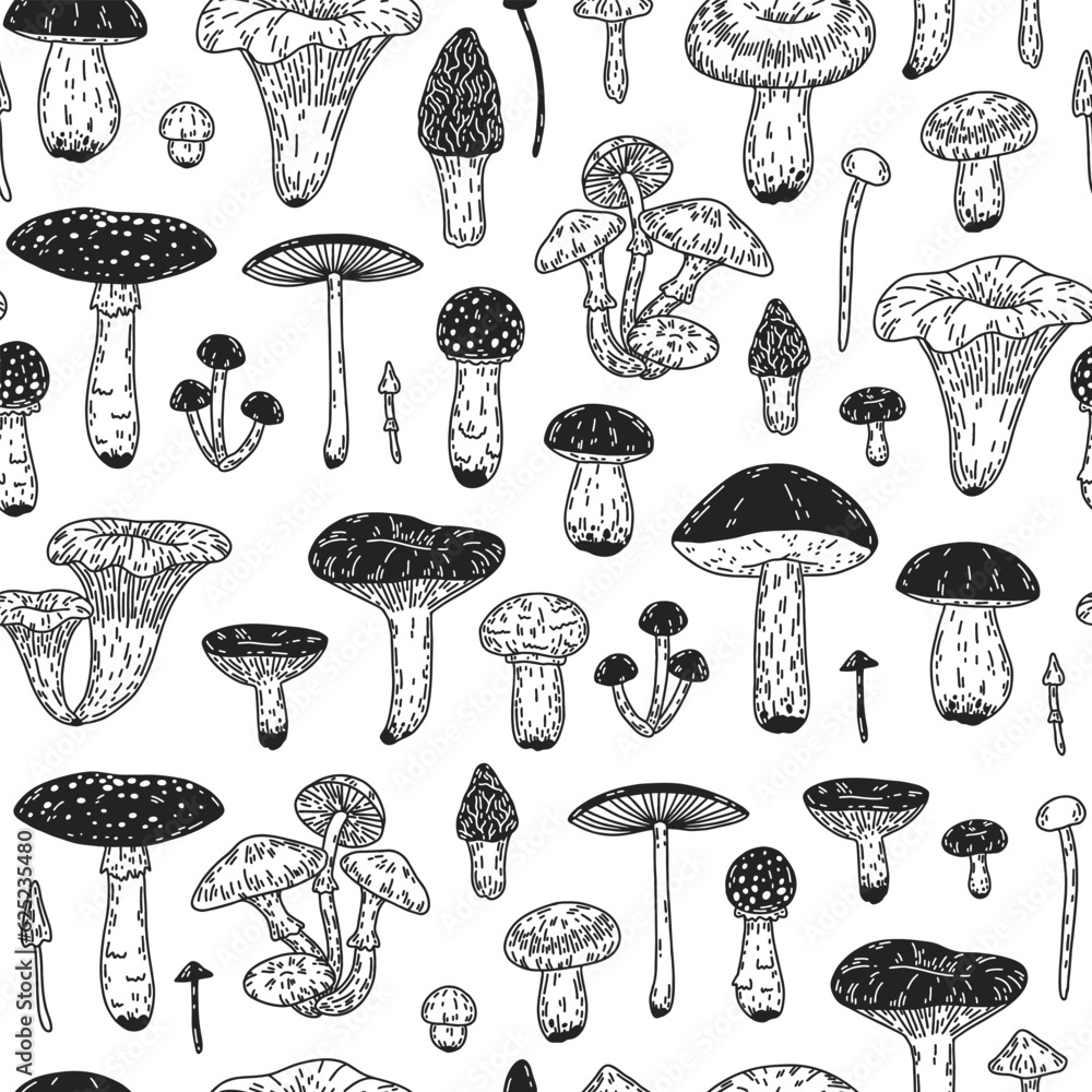 Pattern with mushrooms. Hand-drawn seamless vector with different forest mushrooms. Pattern with mushrooms. Hand-drawn seamless vector with different forest mushrooms.