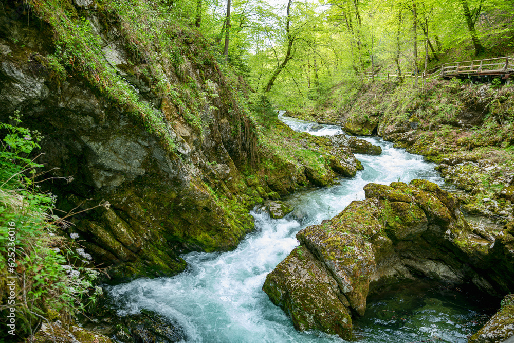 the vintgar gorge in Solvenia, a nature park with waterfalls and green plants
