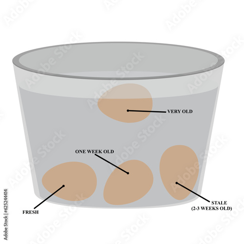 Fresh egg test in a bowl of water