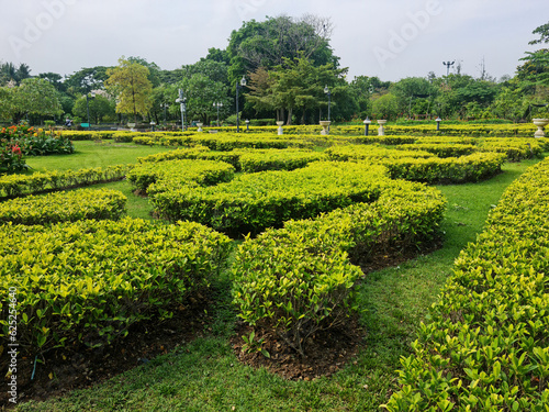 garden in the park with bright green ornamental trees planted in large letters and big tree as wallpaper photo