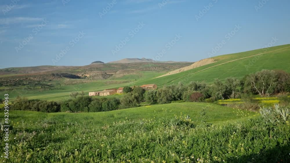 Beautiful house in green pastures Beautiful house in green pastures