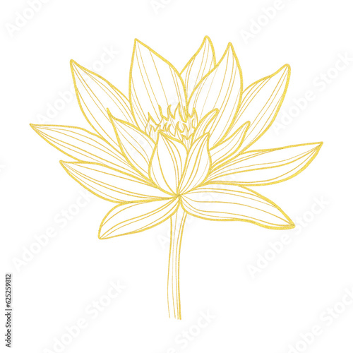 Gold line art illustration with lotus flower