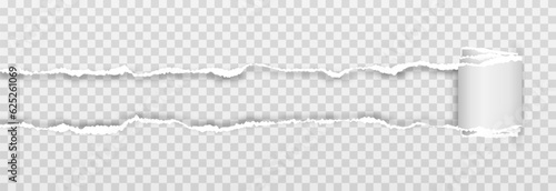 Vector torn paper. Torn notepad sheets png. Torn pages of a book or textbook png. Torn twisted piece of sheet, page, paper.