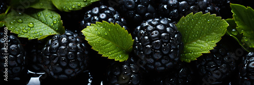 Fresh blackberries banner. Blackberry background. Close-up food photography photo