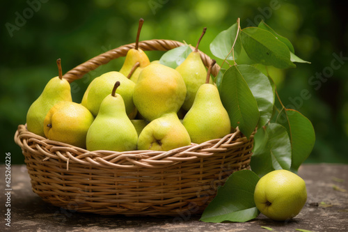 Wicker basket full of pears on green leaves background