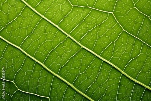 High-resolution image of a green leaf's surface, showcasing a fresh, organic texture, suitable for a natural, bio-themed background