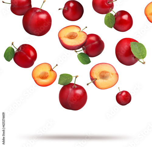 Many fresh cherry plums falling on white background
