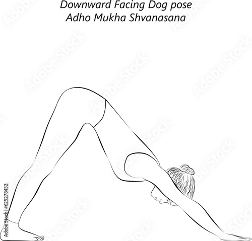 Sketch of young woman practicing yoga, doing Downward Facing Dog pose. Adho Mukha Shvanasana. Arm Leg Support and Forward Bend. Beginner. Isolated vector illustration.