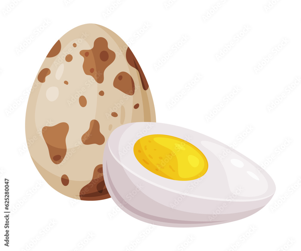 Boiled Quail Eggs in Shell and Half with Yolk Vector Illustration Boiled Quail Eggs in Shell and Half with Yolk Vector Illustration