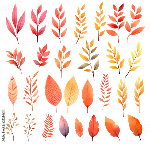 Multicolored collection of leaves and tree branches isolated on white background. Watercolor style illustration