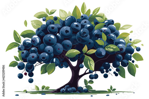 Blueberries in tree white background vector art Blueberries farm in harvest season with bunch of ripe fruits on tree at Burlington, 