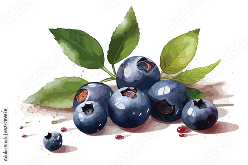 Blueberries in tree white background vector art Blueberry berries with green leaves on branch tree